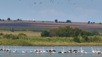 Atanasovsko Lake – home to rare bird species