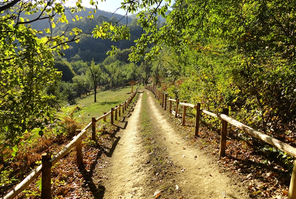 Bulgarian Eco Paths for Tourism (Bulgarian)
